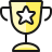 Trophy with star